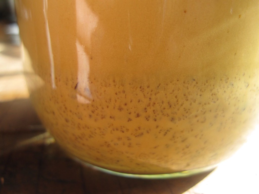 Kefir actively fermenting in the jar