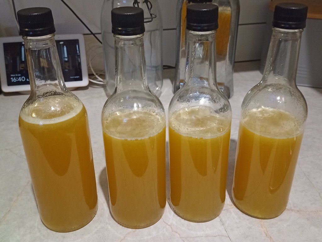 Home-brewed kombucha bottled for second fermentation