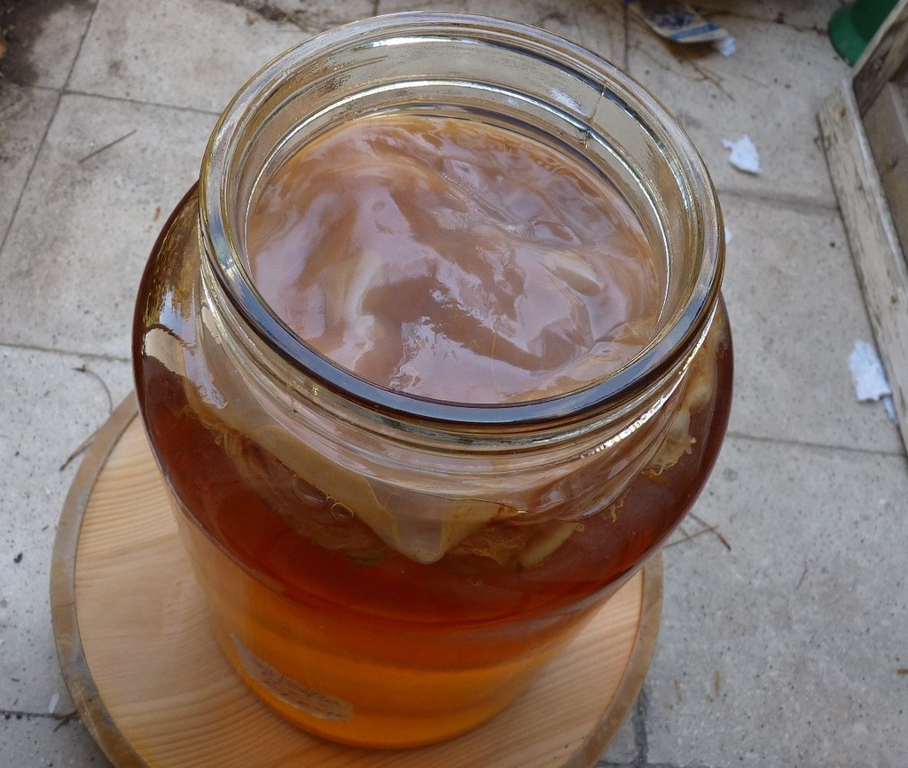Kombucha brewing in a glass jar